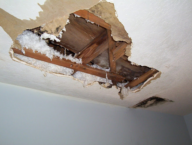 Rapid Action Water Damage