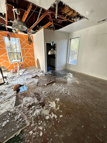 North Miami Beach Supreme Mold Removal