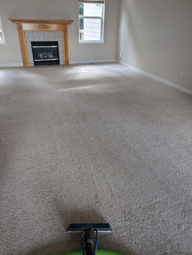 Carpet Care Cleaners