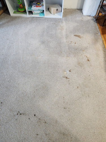 Blue Ribbon Carpet & Upholstery Cleaning