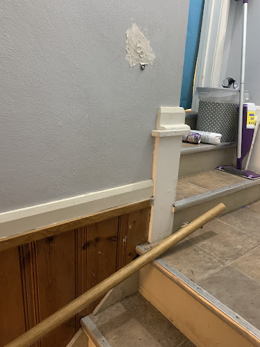 Black Mold Removal Professionals of Springfield, IL