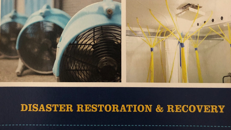 MD Restoration Seattle LLC