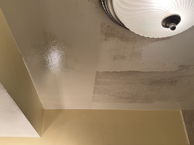 NoMold Solutions LLC