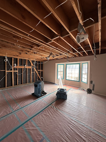 LimeGreen Water Damage & Restoration