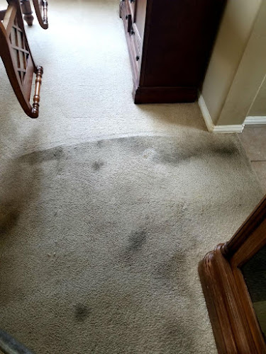 Dirt Free Carpet & Tile Cleaning