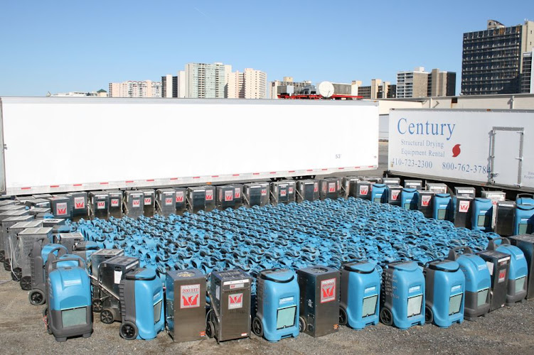 Century Carpet Cleaning