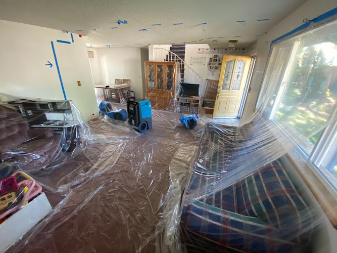 CTR - Cleanup & Total Restoration