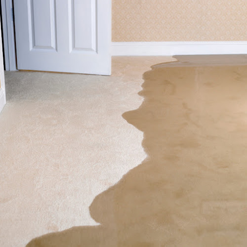 Paul Davis Restoration of Palm Beach County