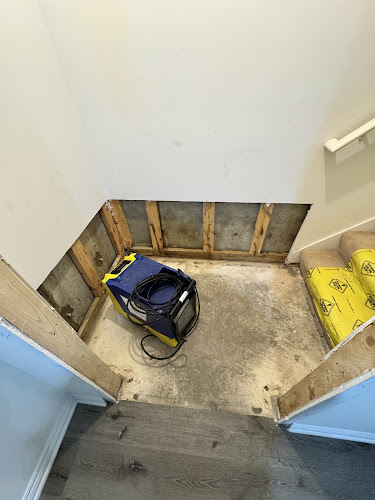 1-800 Water Damage of Washtenaw County & Taylor