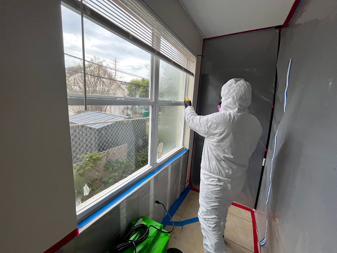 Affordable Mold Testing and Assessments