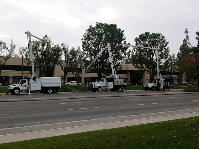 General Tree Service, Inc.