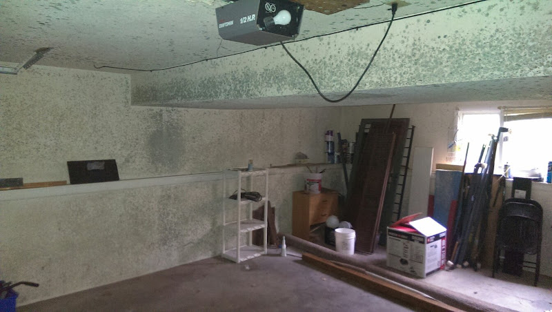 Mold Inspection Services, Inc