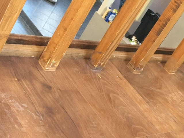 Paul Davis Restoration of New Mexico