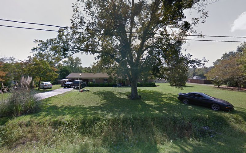 Brinley Mold Inspection & Removal Of Albany