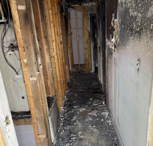 Royal Water Damage Repair Seattle