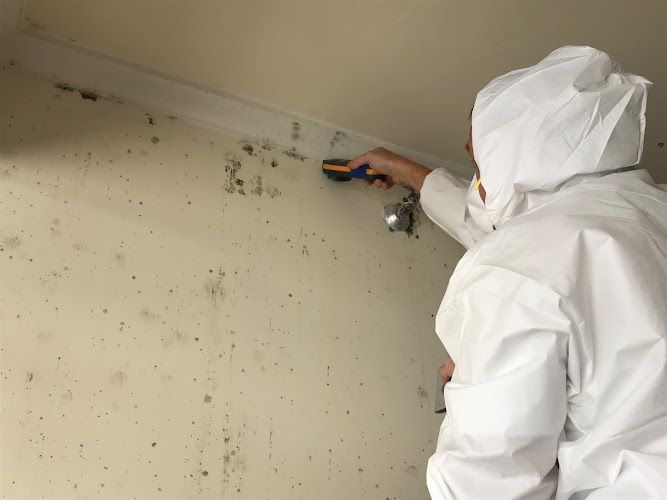 San Diego Mold Inspection Experts
