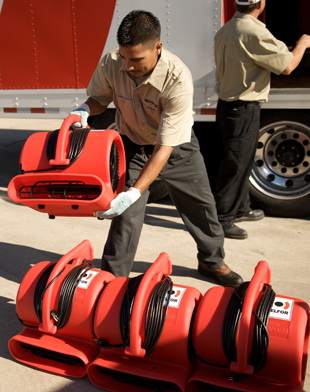 BELFOR Property Restoration (San Jose)