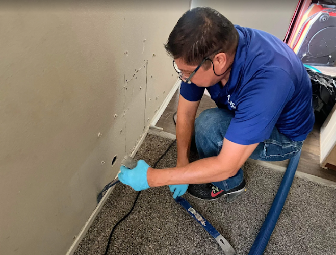 Expert Water Damage & Restoration