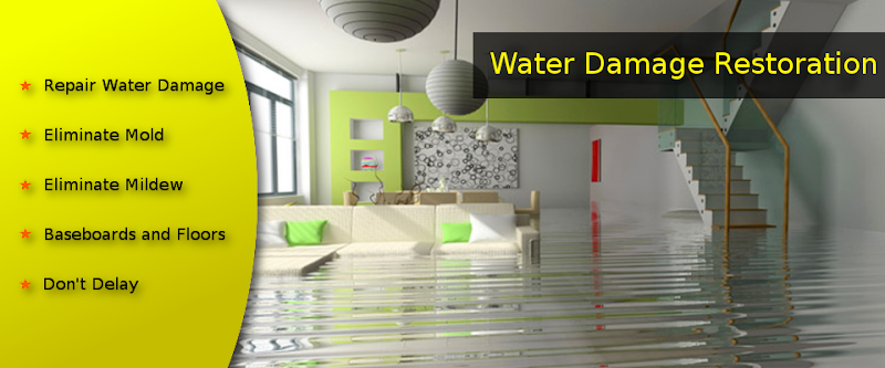 Best & Fast Water Damage & Mold
