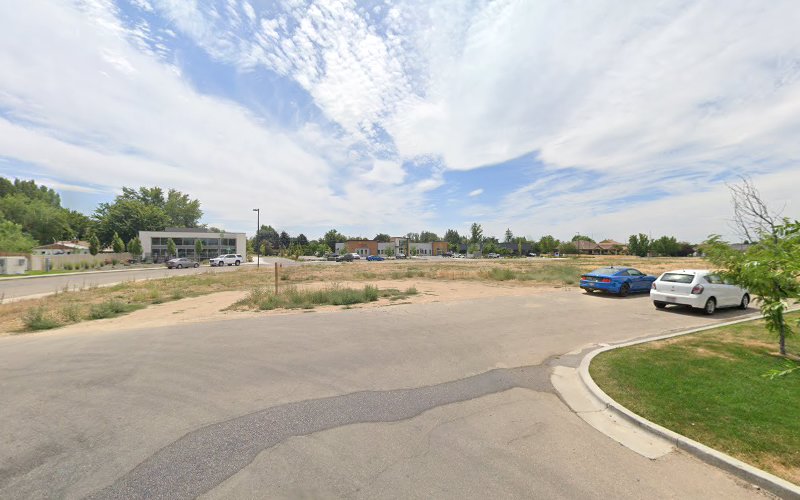 Boise Mold Removal Specialists