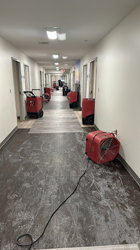 Elite Remediation & Services