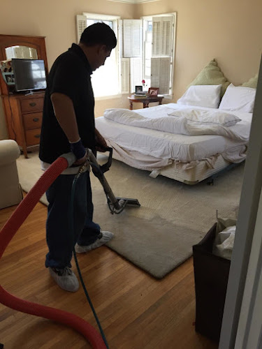 Dave's Carpet & Upholstery Cleaning Co.