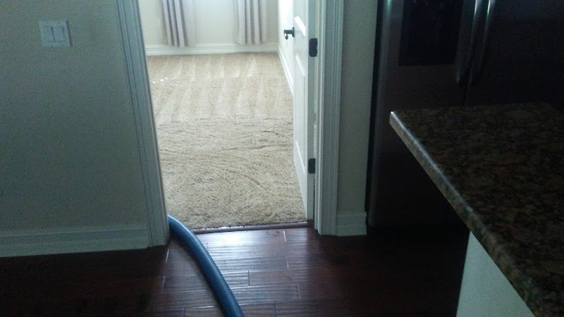 Carpet Sparkle Carpet Cleaning