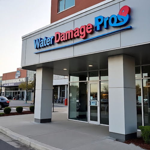 Water Damage Pros LLC