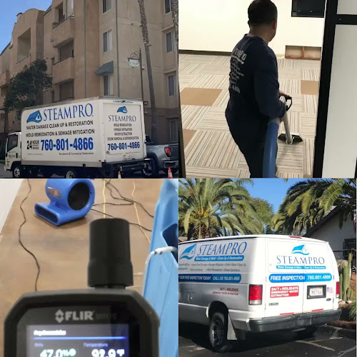 Steampro Clean Up & Drying Services