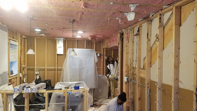 Genuine Mold Experts LLC