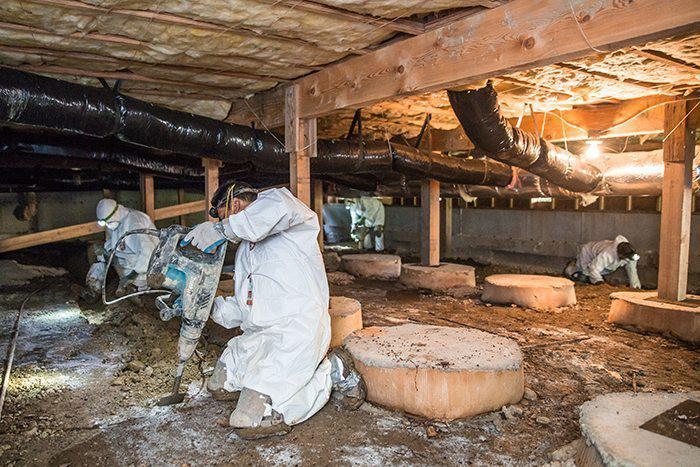 Academy Mold Removal Pacific Palisades