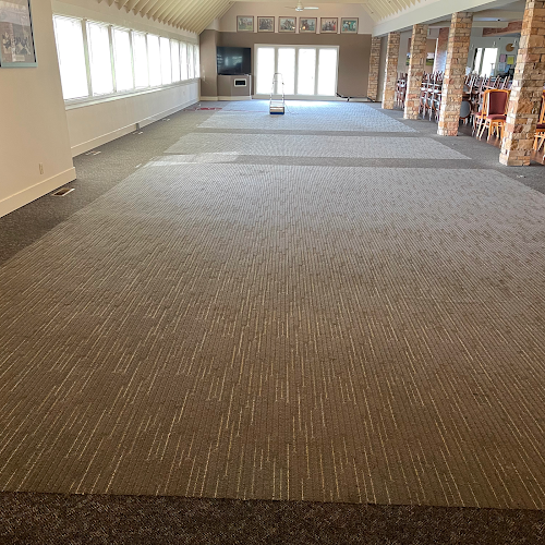 Aladdin Magic Carpet Cleaning