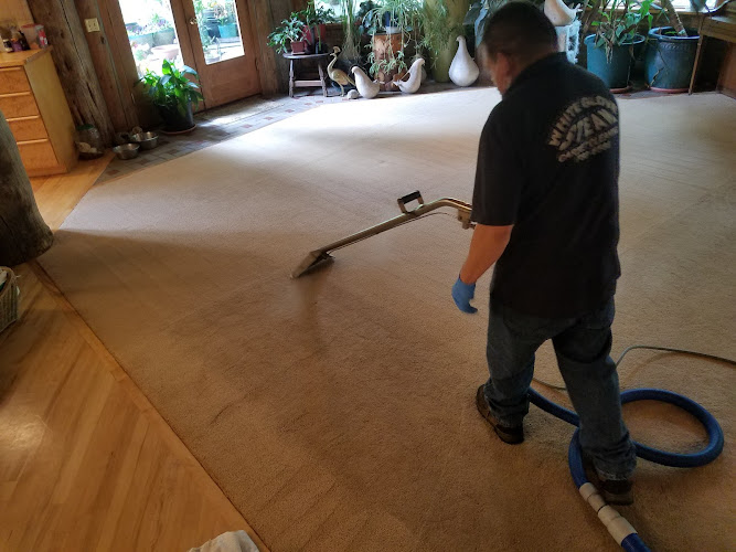 White Glove Steam Carpet Cleaning