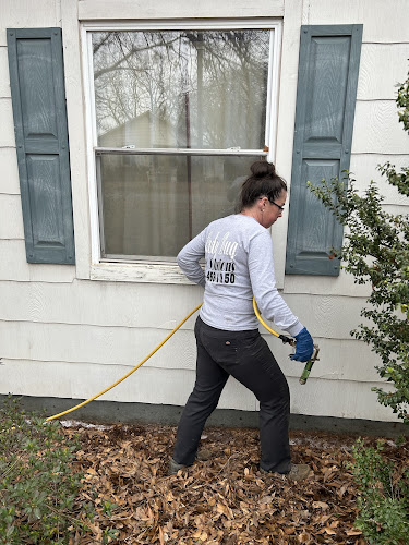 Ladybug Pest Solutions