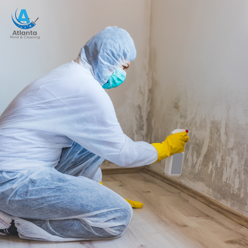 Atlanta Mold Remediation & Cleanup Services | Mold Removal & Testing