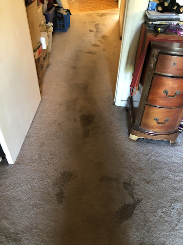 Custom Floor Care