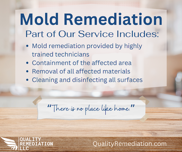 Quality Mold Remediation