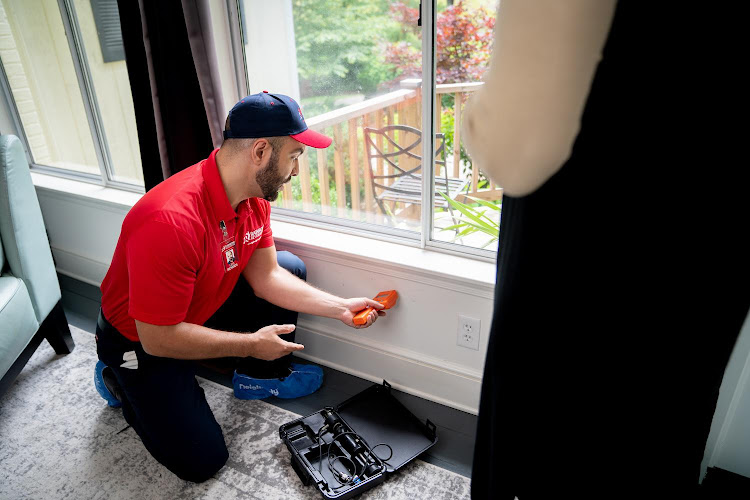 Rainbow International Of Bethlehem