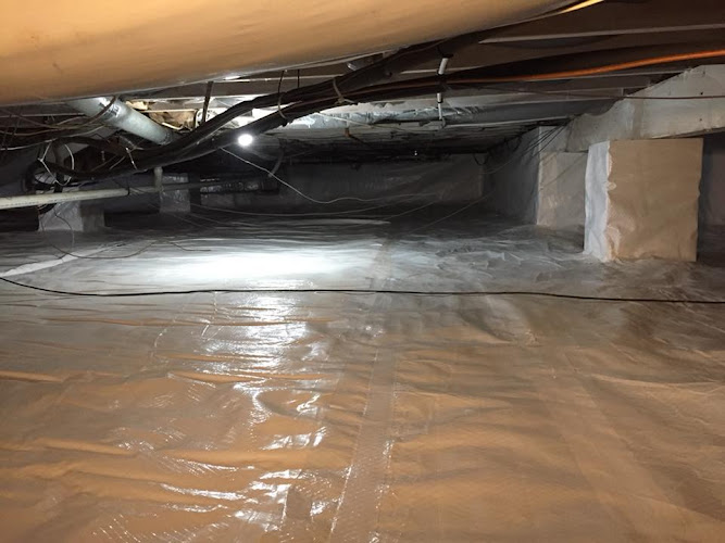 MD Crawlspace & Basement - NJ's Trusted Crawlspace Encapsulation, Mold Remediation, & Waterproofing Specialists