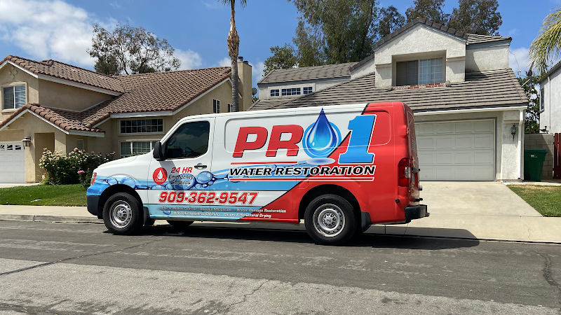 Pro 1 Water Restoration