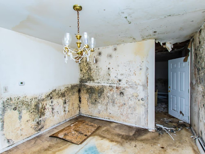 Total Water Damage Restoration Dallas