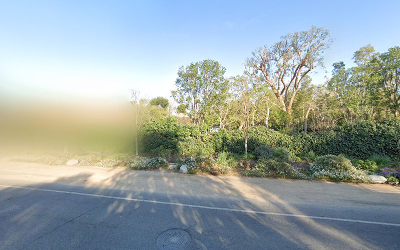 GoldenStar Mold Removal Encino