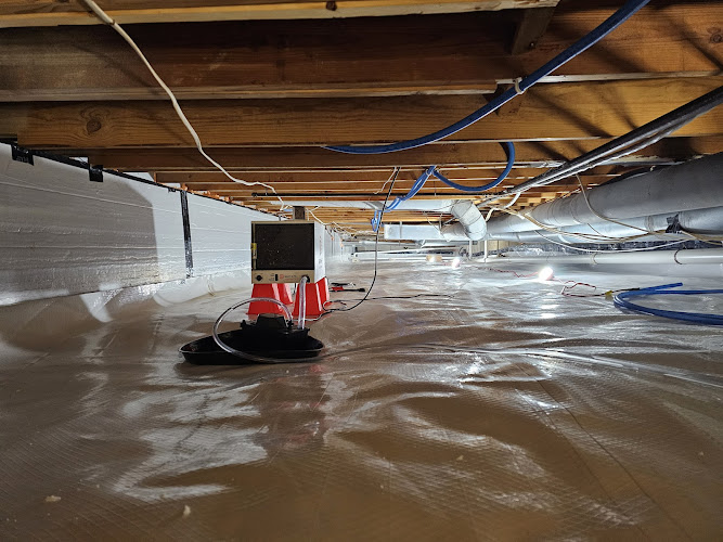 Cincinnati Mold Pros, Llc