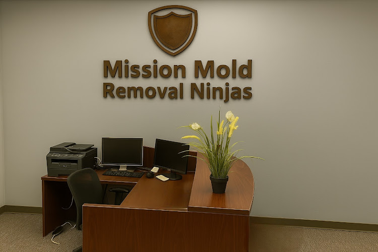 Mission Mold Removal Ninjas