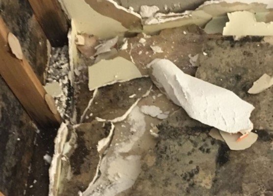 Monokuro Water Damage