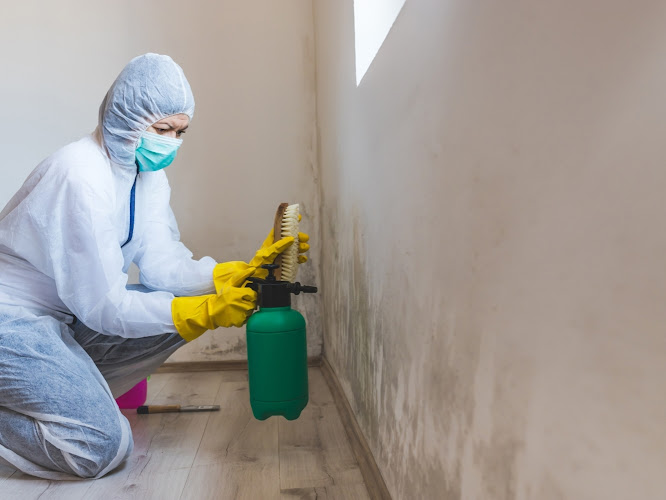 Union Restoration Of Cape Coral: Mold Removal & Remediation