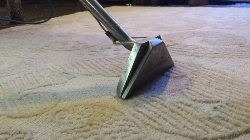 Area Rug Cleaners Brooklyn