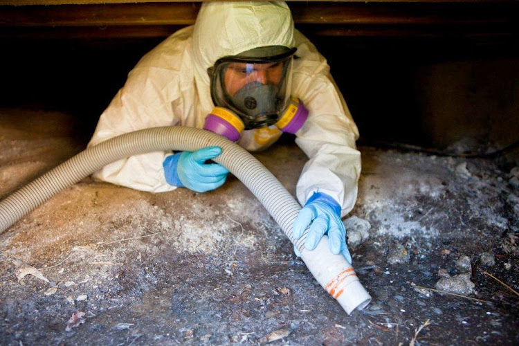 Clearway Restoration