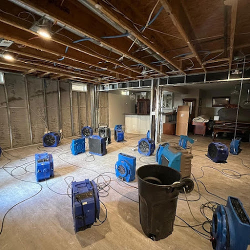 Royal water damage repair Kirkland WA
