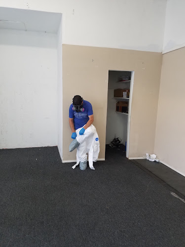 Four Seasons Water Damage Service